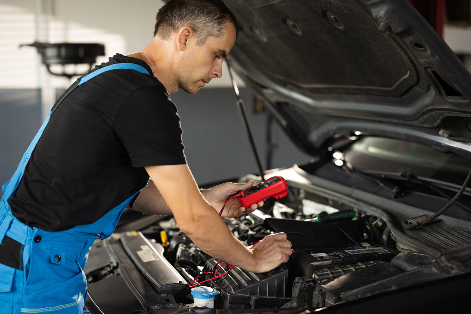 Hybrid battery Check